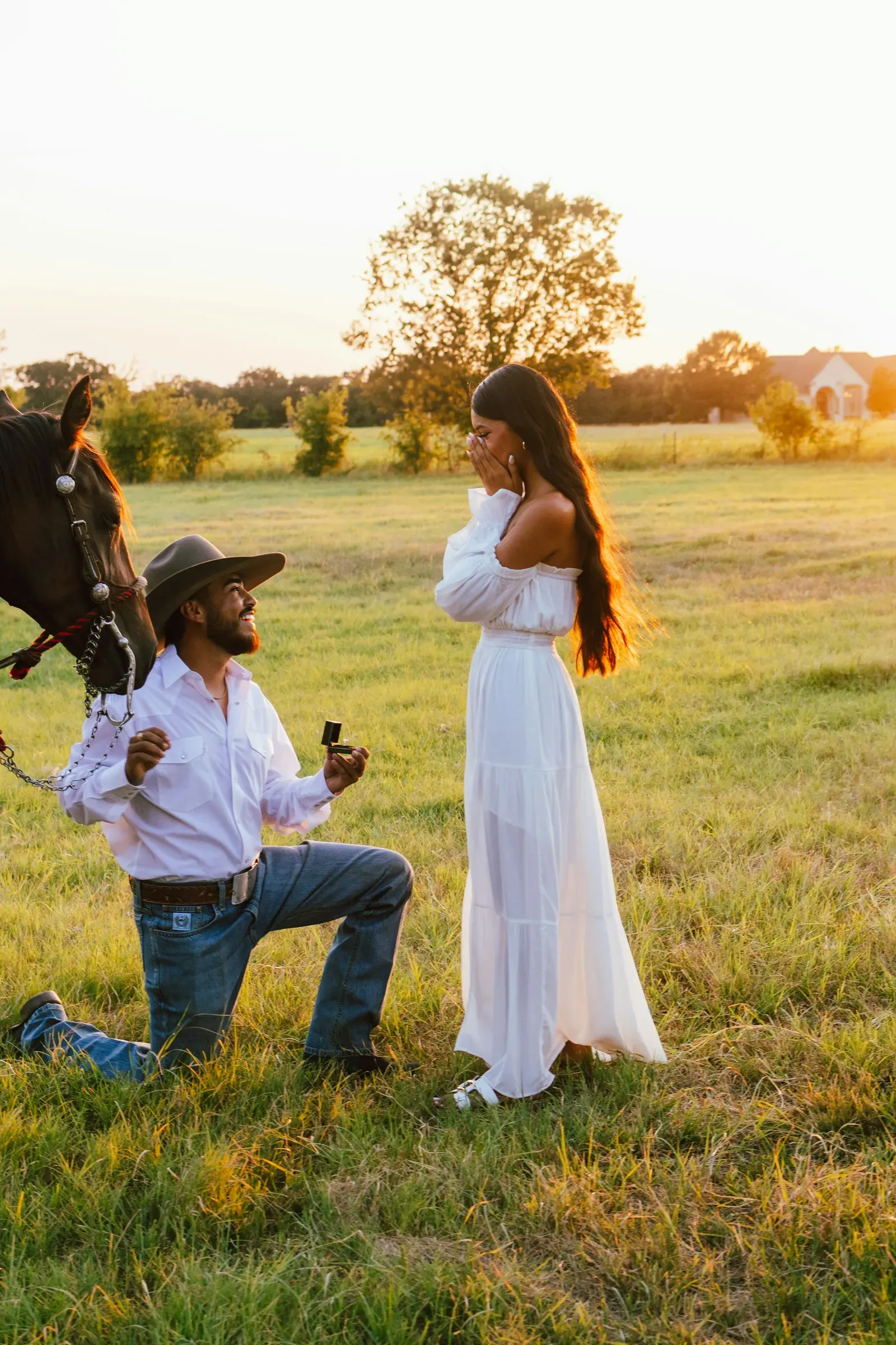 Down on one knee in the pasture with the ring box open, their horse standing calm beside them.